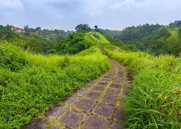 Singgah Di 1 *